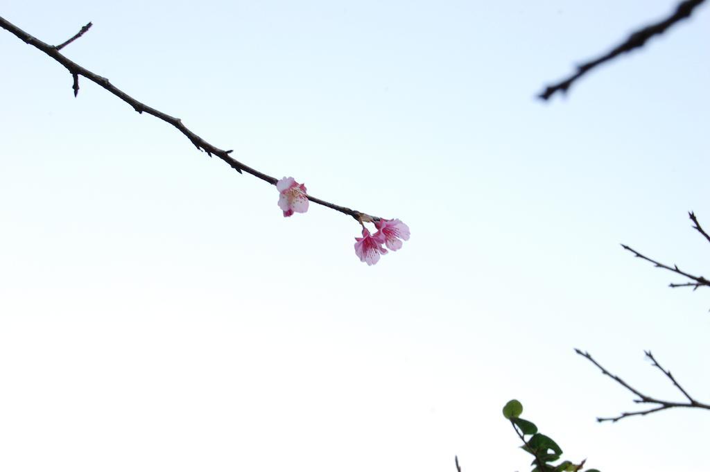 Yukurinaresort Okinawa Garden House Motobu Bagian luar foto
