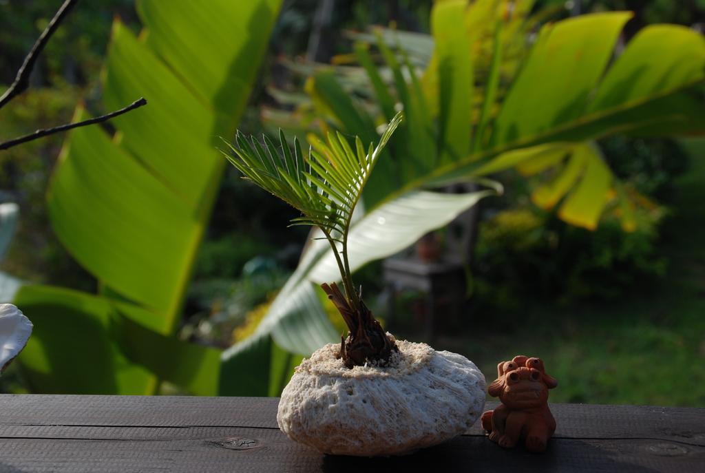 Yukurinaresort Okinawa Garden House Motobu Bagian luar foto