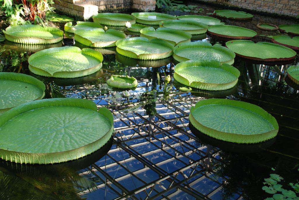 Yukurinaresort Okinawa Garden House Motobu Bagian luar foto