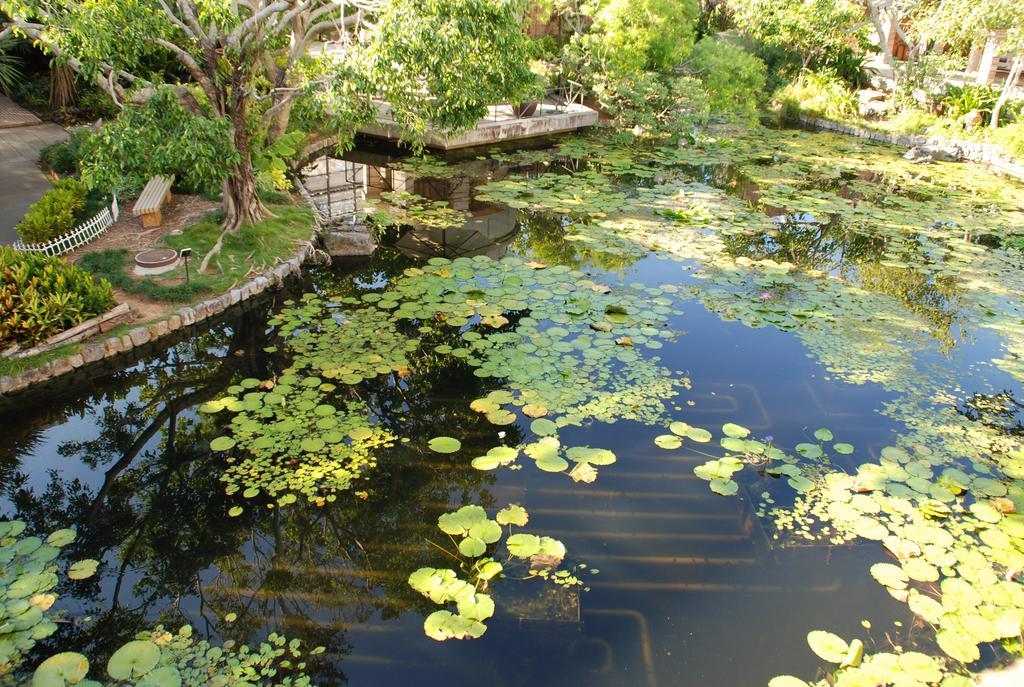 Yukurinaresort Okinawa Garden House Motobu Bagian luar foto